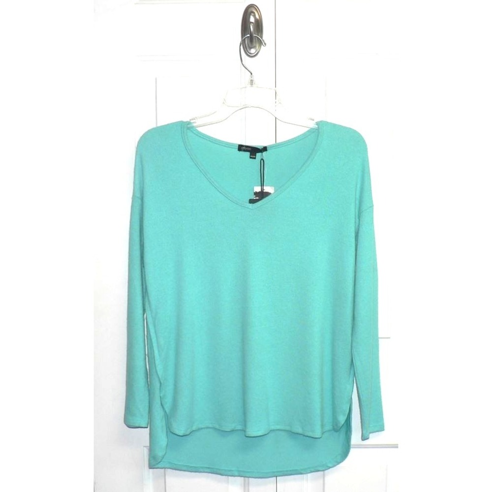 Gibson Women's Cozy Long Sleeve V-Neck High-Low Tunic in Baja Sur Petite 2XS